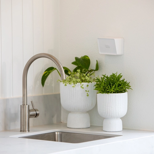 Two minimalistic plants beside kitchen sink